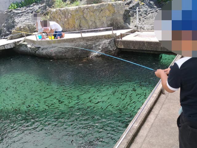 フィッシング アジ釣り
